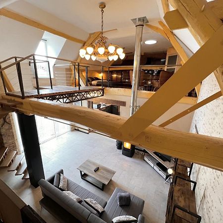 Villa L'Industriel - Jardin - 6 personnes - Rêve au Mans à Connerré Extérieur photo